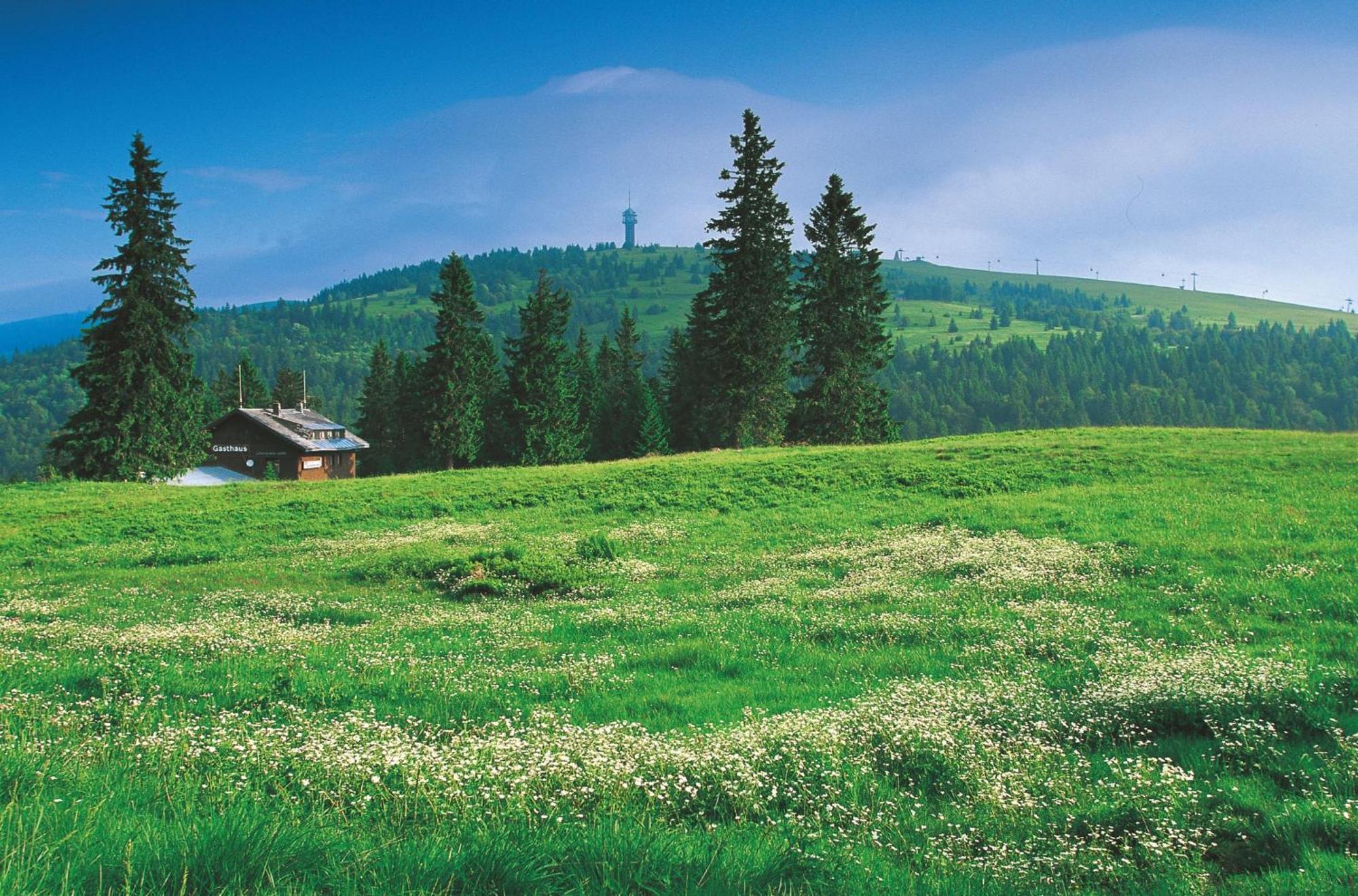 Hotel Charlott Eisenbach  Exteriér fotografie